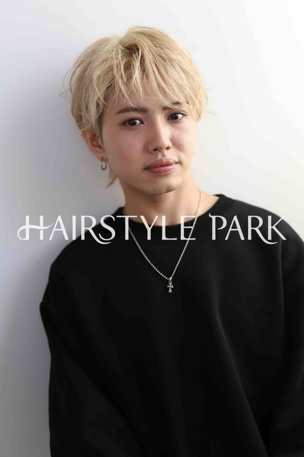 ヘアスタイル写真PhotoNo:339-1 (9) [ショート,メンズ,クール / かっこいい,カット,カラー,ダブルカラー,縦型 ]