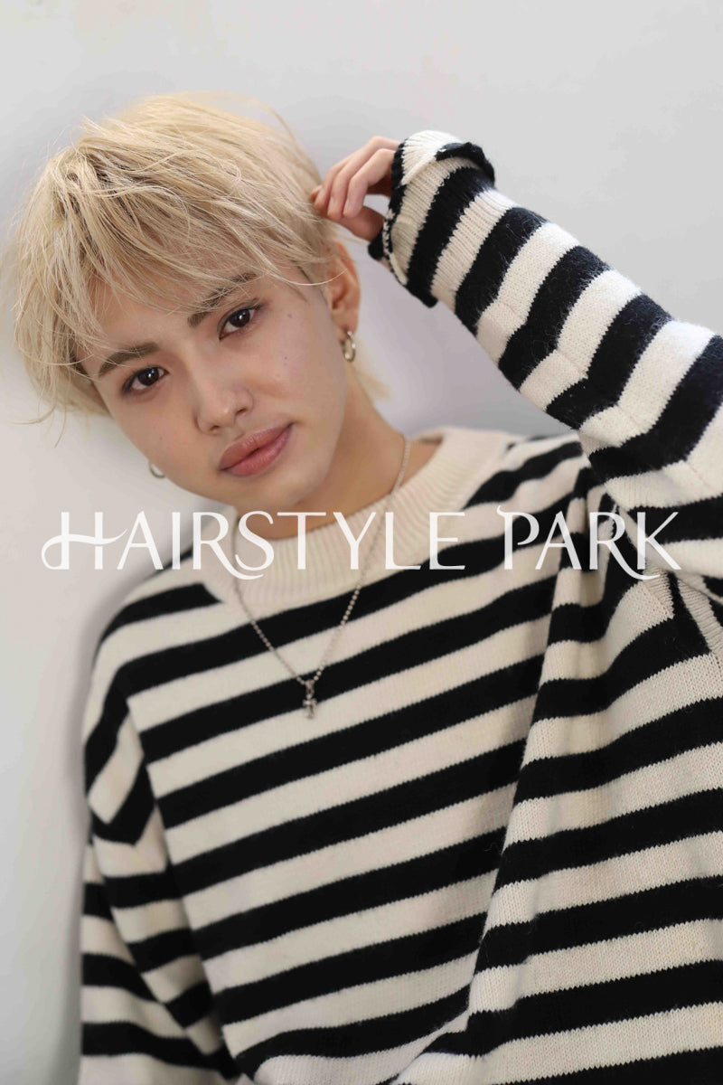 ヘアスタイル写真PhotoNo:339-2 (26) [ショート,メンズ,クール / かっこいい,カット,カラー,ダブルカラー,縦型 ]