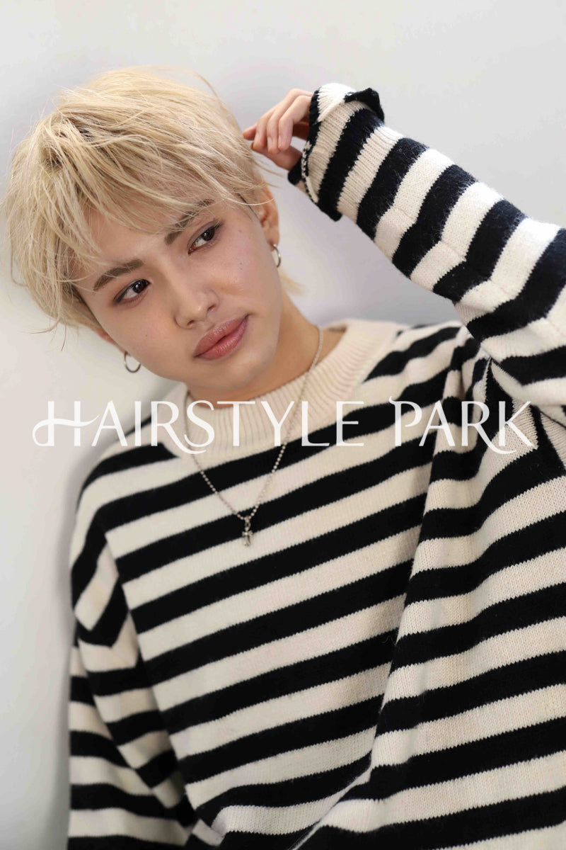 ヘアスタイル写真PhotoNo:339-2 (27) [ショート,メンズ,クール / かっこいい,カット,カラー,ダブルカラー,縦型 ]