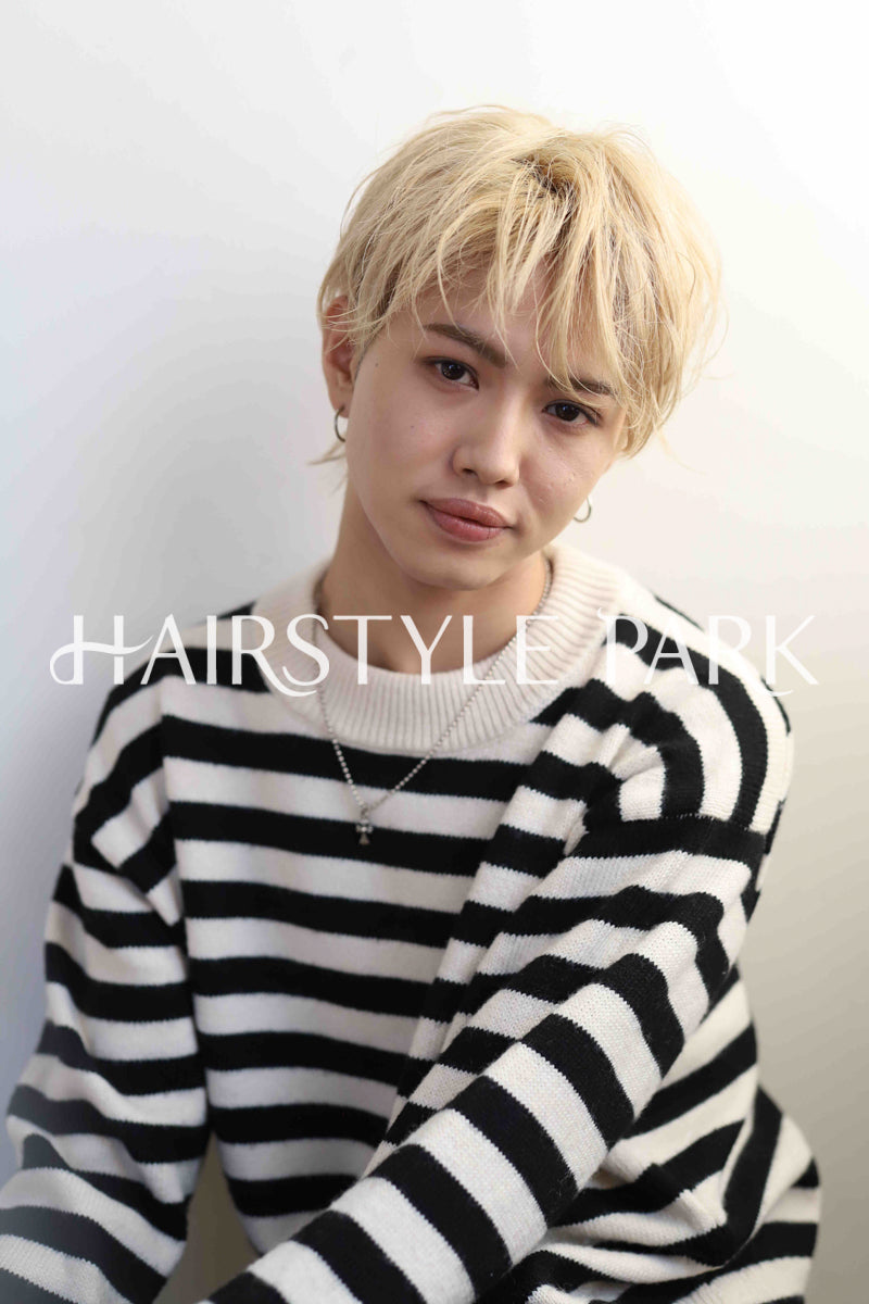 ヘアスタイル写真PhotoNo:339-2 (2) [ショート,メンズ,クール / かっこいい,カット,カラー,ダブルカラー,縦型 ]