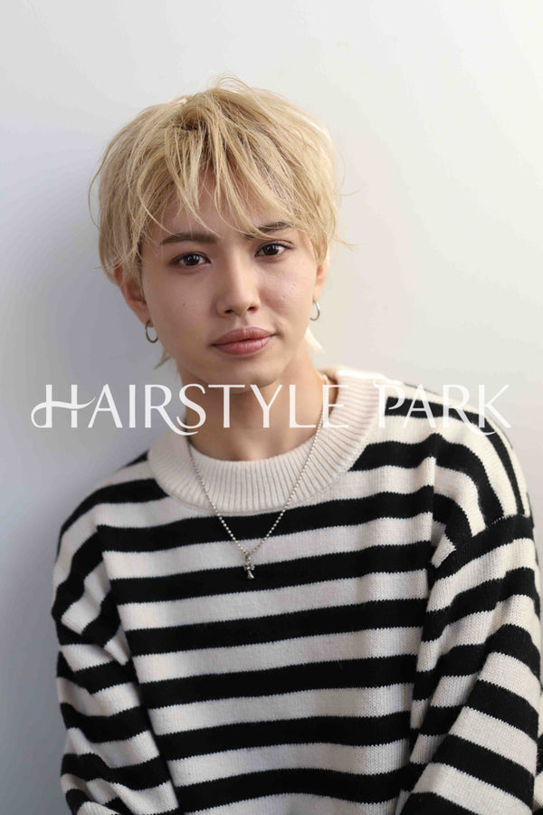 ヘアスタイル写真PhotoNo:339-2 (3) [ショート,メンズ,クール / かっこいい,カット,カラー,ダブルカラー,縦型 ]