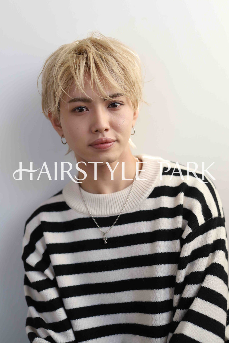 ヘアスタイル写真PhotoNo:339-2 (3) [ショート,メンズ,クール / かっこいい,カット,カラー,ダブルカラー,縦型 ]