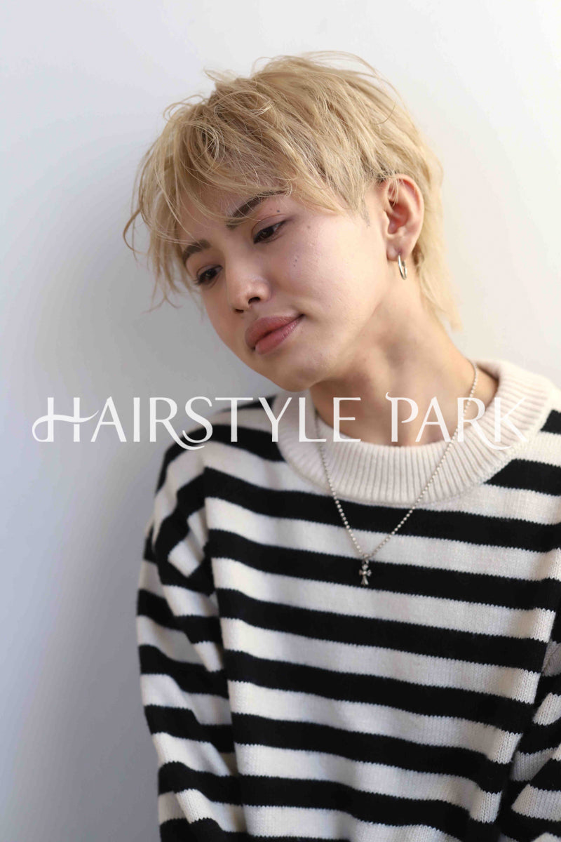 ヘアスタイル写真PhotoNo:339-2 (9) [ショート,メンズ,クール / かっこいい,カット,カラー,ダブルカラー,縦型 ]