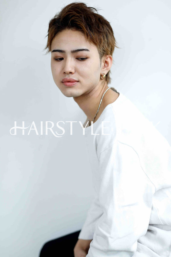 ヘアスタイル写真PhotoNo:250-2 (6) [ショートベリーショートメンズモードクール / かっこいい,カット,カラー,ダブルカラー, ]